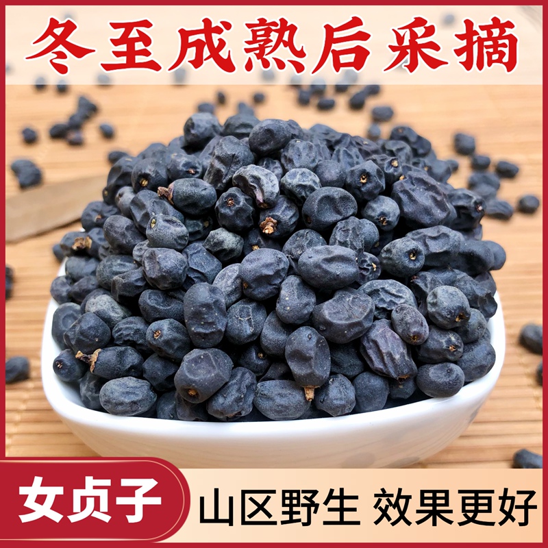 Wild Mature Ligustrum Lucidum Seeds from the Taihang Mountains, Chinese Medicinal Herb, Winter Berries Soaked in Water, Winter Ligustrum Lucidum Seeds Without Additives