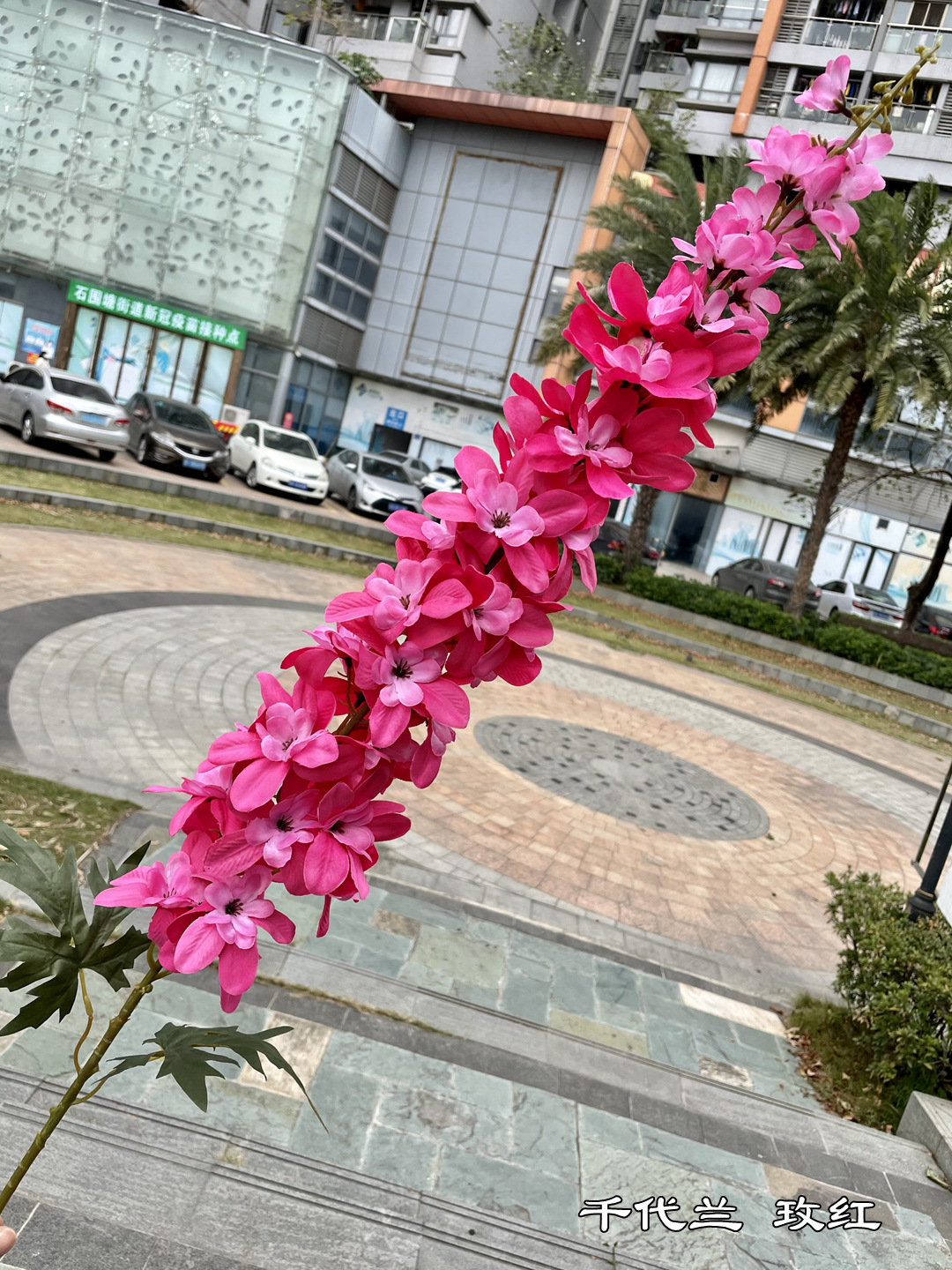 微信图片_20220102140752