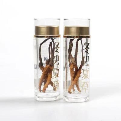 采挖冬虫夏草野生虫草冬虫草非西藏那曲虫草无断草包邮