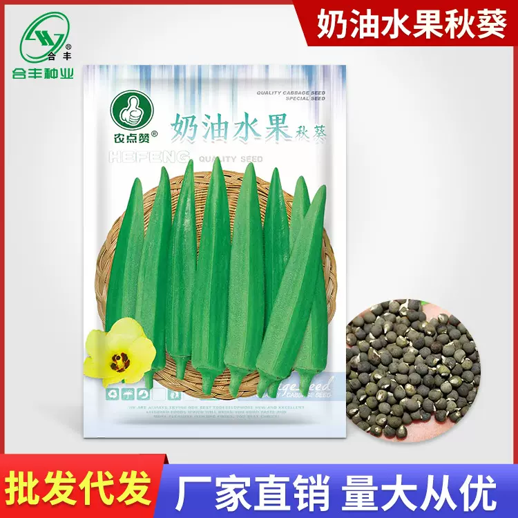 奶油水果秋葵种子黄秋葵种籽羊角豆籽种阳台盆栽蔬菜籽 厂家批发