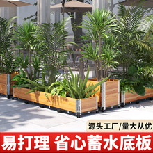 �N�ˌ�����������ľ����ͥԺ�߲˷Nֲ����仨�@��������N����