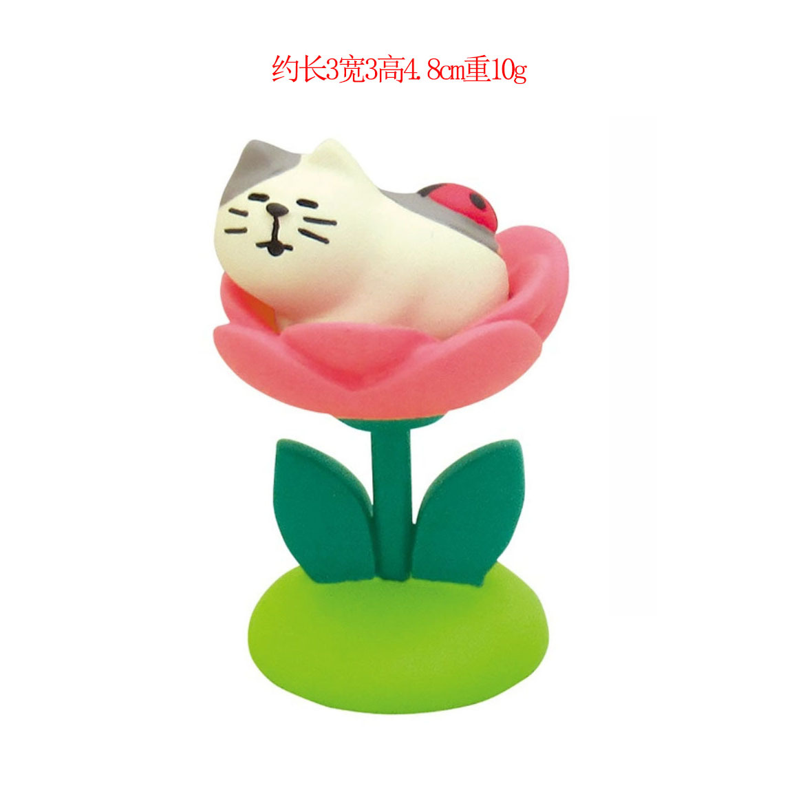 무당벌레 새끼 고양이 꽃