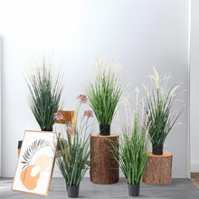 ���W�����JȔ�����Ѳݼٲ݈F�҃ȼҾ��b[������Gֲ�쾰�ɶ���