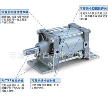 ��׼����CS2B/CDS2B125/140/160-25-50-75-100-125K-150J-XB6-XC8