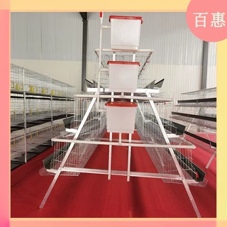 阶梯式蛋鸡单边双边三层自动笼子鸡笼四层家用加粗专用养殖养殖场