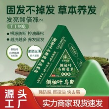 国医药材侧柏叶乌斯曼草洗发养发手工皂 控油去屑精油皂 源头工厂