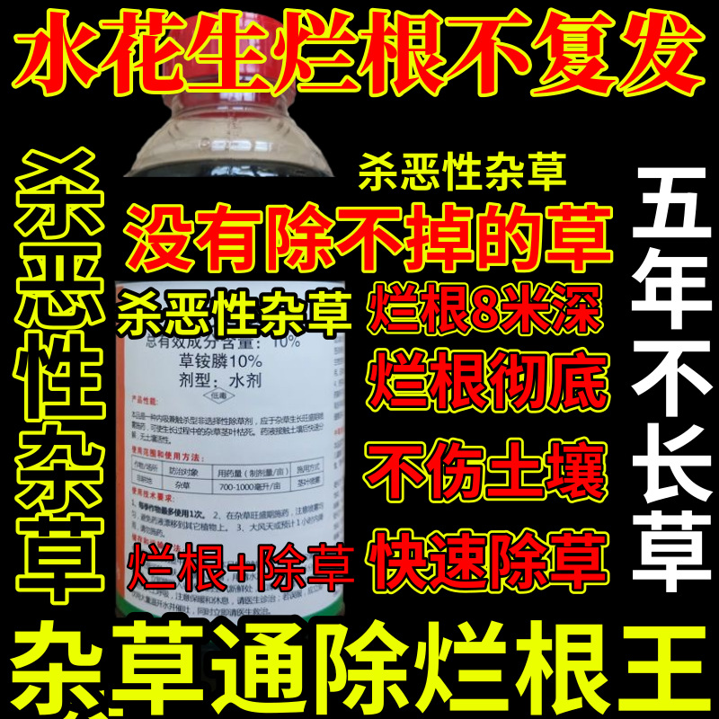 水花生烂根不复发精草铵膦铵盐杀恶性杂草除草剂果园烂根剂杀草王