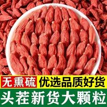 新货枸杞子罐装泡水宁夏头茬红枸杞免洗大颗粒泡茶泡酒无干燥剂