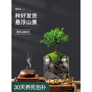 С�~����辰�͏d�k���҃�����΢���^̦�\�Gֲ�����������ļ�����