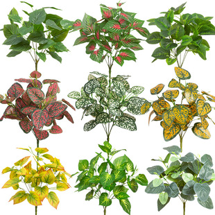 ߙnGֲֲԻ̨^b滨҃쾰G~