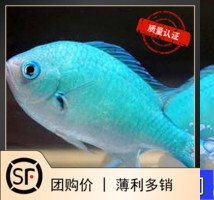 ��ô��ħ�{ħ�Sβ�{ħ�S���{ħ��ˮ�~�^�p�~���wɺ��С���~�J���~