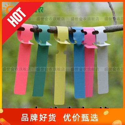 PVC环套标签苗木多肉标签花卉园艺标签植物标签环扣标牌园艺用品