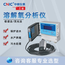 工业溶解氧检测仪膜法荧光法DO监测 锅炉进水 厌氧池溶氧仪厂家