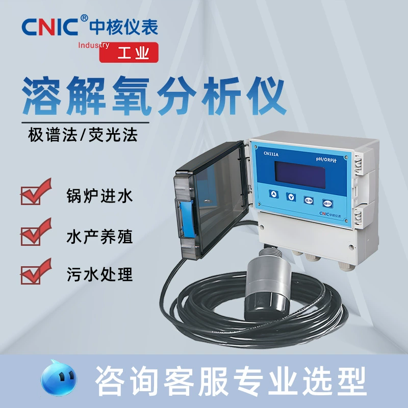 Промышленный измеритель растворённого кислорода (ДО) мембранного и флуоресцентного методов для мониторинга воды в котлах и анаэробных резервуарах, производитель измерителей растворённого кислорода