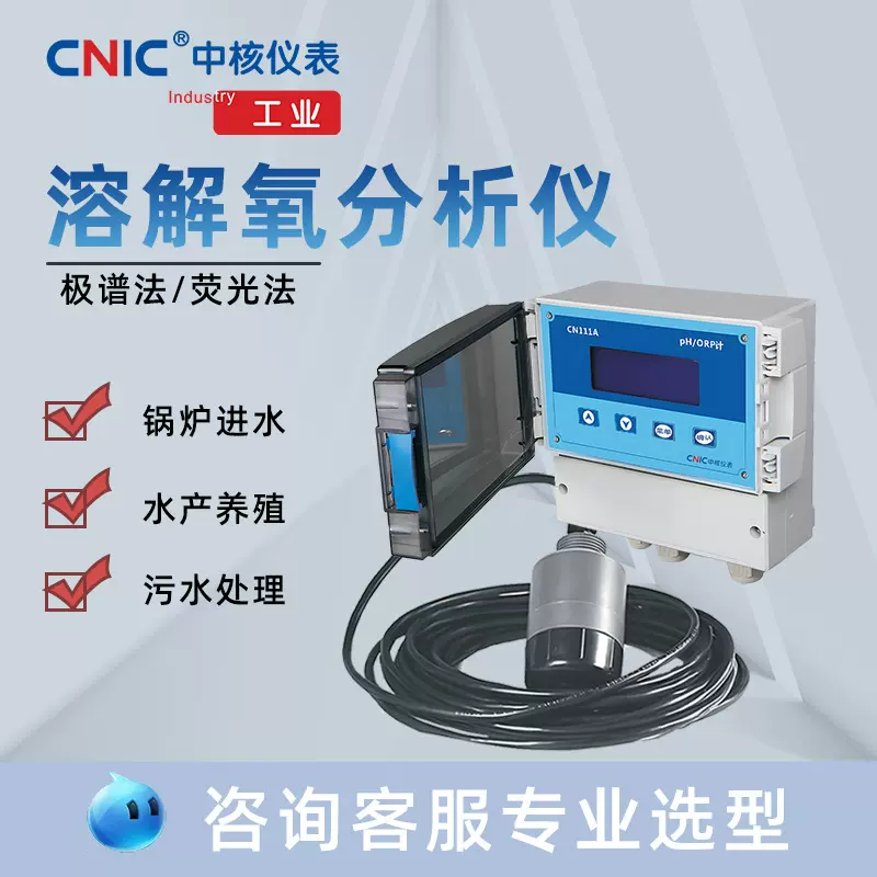 工业溶解氧检测仪膜法荧光法DO监测 锅炉进水 厌氧池溶氧仪厂家