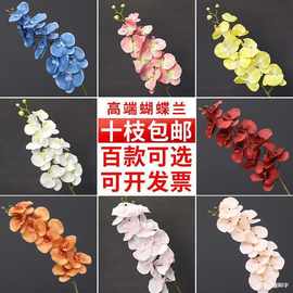 蝴蝶兰假花束家居现代简约花艺婚庆婚礼装饰花材仿生兰花
