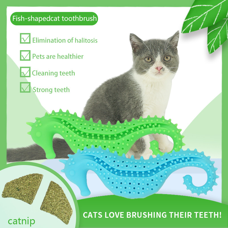猫牙刷-英文.jpg