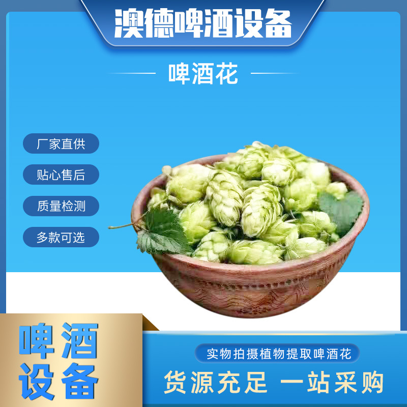 厂家直供啤酒原料酒花扎啤鲜啤酿酒原料啤酒酒花酵母啤酒发酵原料