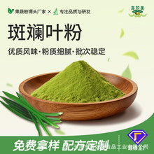 源头工厂食品级斑斓叶粉 烘焙饮品香兰叶粉果蔬粉现货批发