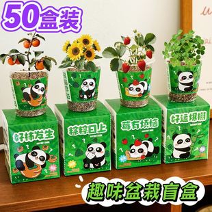 ؈NֲäоGֲNСWСYƷ[ͯY