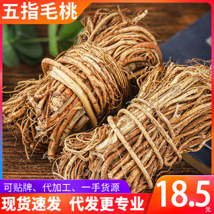 ��؛���l������ָë�ҏV��Ұ����ָë�Ҹ��Ҝ�����������a��ֱ��