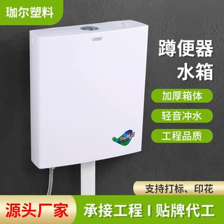 蹲便器冲水箱厕所明装整套工程款家用双按静音卫生间节水蹲便水箱