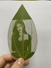 树叶雕刻照片送对象520七夕创意结婚男女生手工树叶子刻画diy跨境