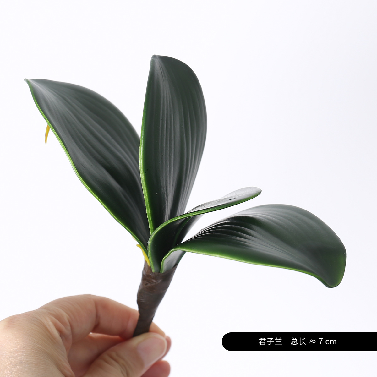 La nueva hoja de Clivia de goma suave de alta gama, plantación verde de simulación, jardinería, jardinería, arreglos florales en macetas, accesorios decorativos, flores