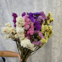 勿忘我干花花束森系自然干花真花家居装饰拍摄道具云南厂家批发