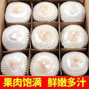 Ҭ�ຣ���خaҬ�����rˮ���ЋDҬ��ëҬեҬ֭Ҭ��6/9�����ˮҬ