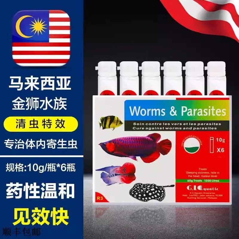 Трансграничная малазийская золотая львиная рыбка с лекарством для насекомых