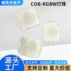 COB-RGBW灯珠/RGB/RGBW/50瓦/100瓦200瓦/可定制