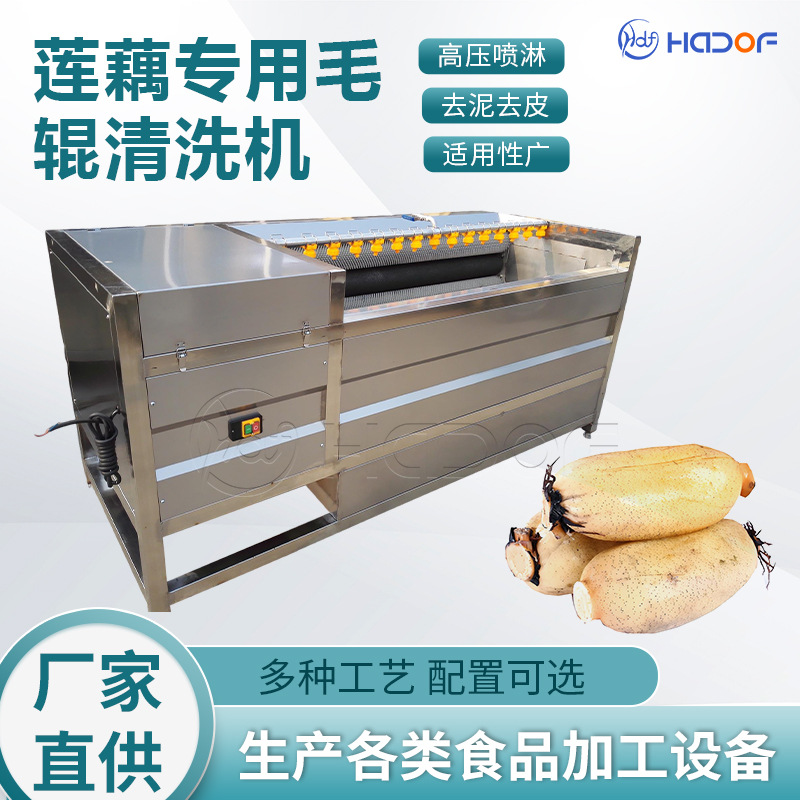 Máquina de limpieza de cepillo de frutas y verduras, raíz de loto, etc. equipos de limpieza de rodillos de pelo de rizoma fabricantes de suministro directo de vegetales para lavar lodo para eliminar arena