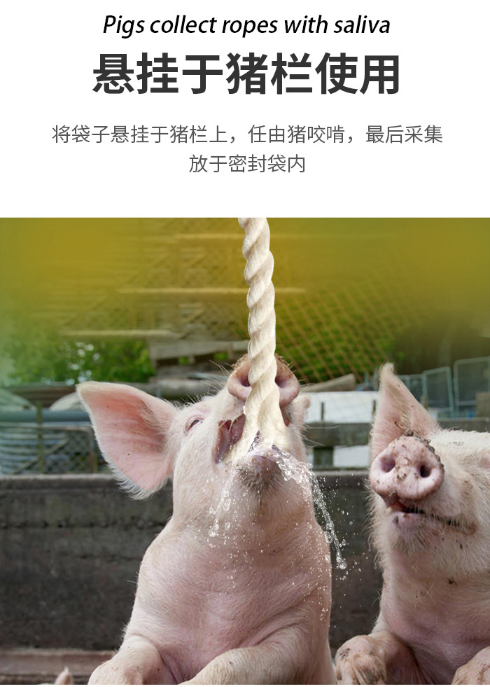 唾液绳详情_03.jpg
