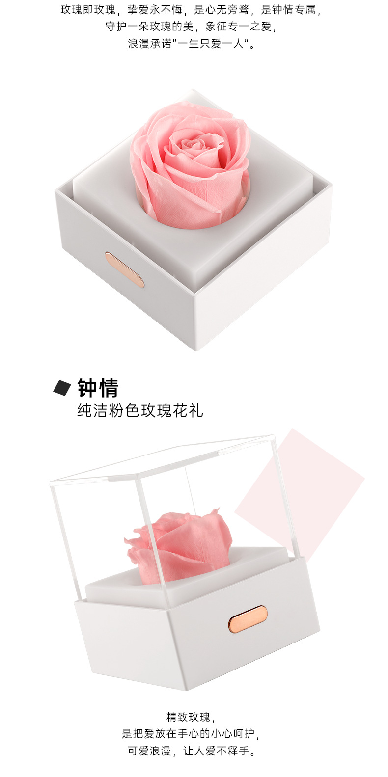 永生花夜灯_05.png