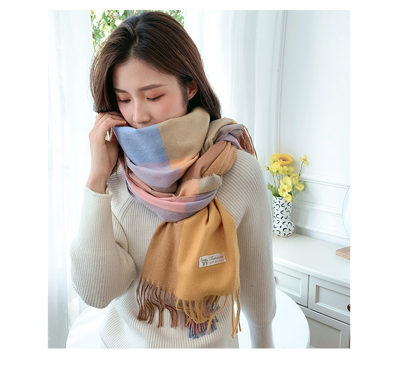 Women's Casual Simple Style Color Block Imitation Cashmere Tassel Scarf display picture 1