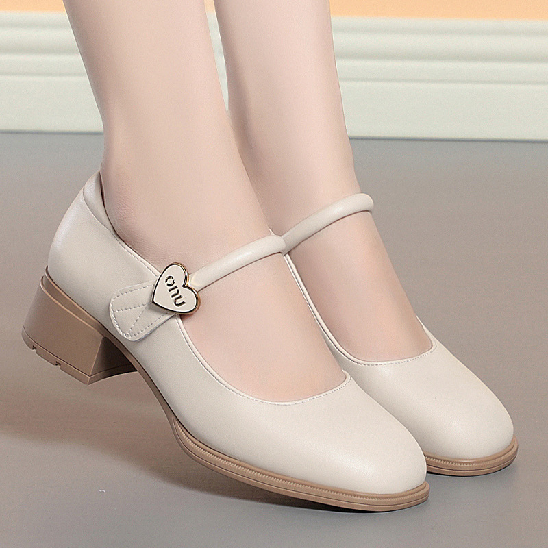 Universal romantic and delicate Mary Jane shoes low-cut, wide stable heel, suitable for spring and autumn, Collection Year 2026