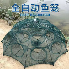 ���~�з�S�X�O�W���~�W��\���q�\�r�\�Ԅ��~�W�����W�~���r�\��