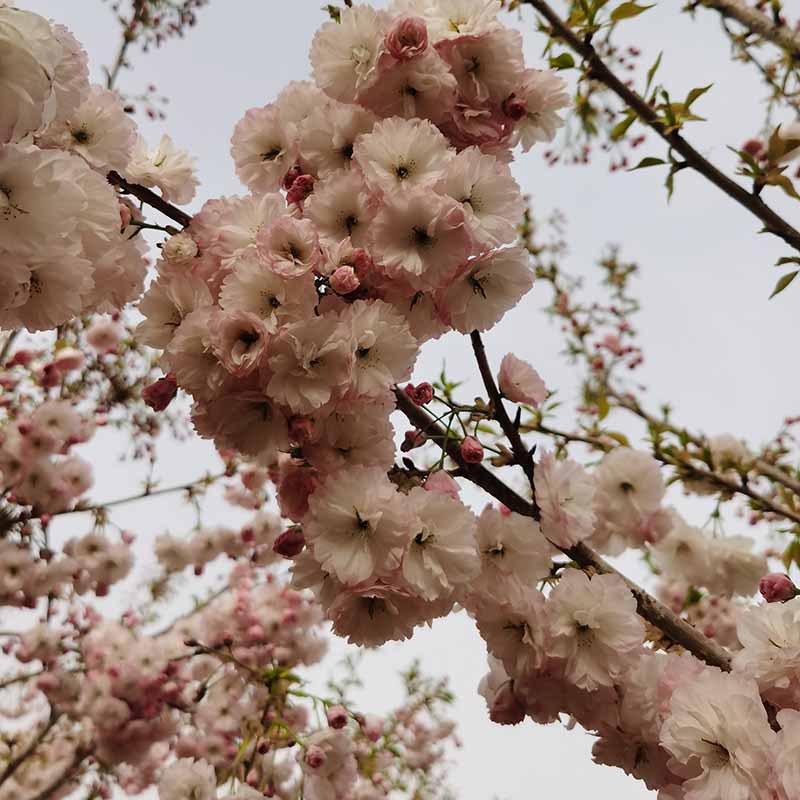 微信图片_20230818145520 副本.jpg