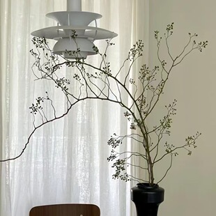 Freshly Cut Branches from Yunnan for Home Decoration, Chinese Natural Style for Bedroom and Living Room, Wabi-Sabi Photography Branches for Vase Arrangement