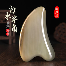 Ӻˮţǹ沿ĘùĘܽ۲ݰͨ