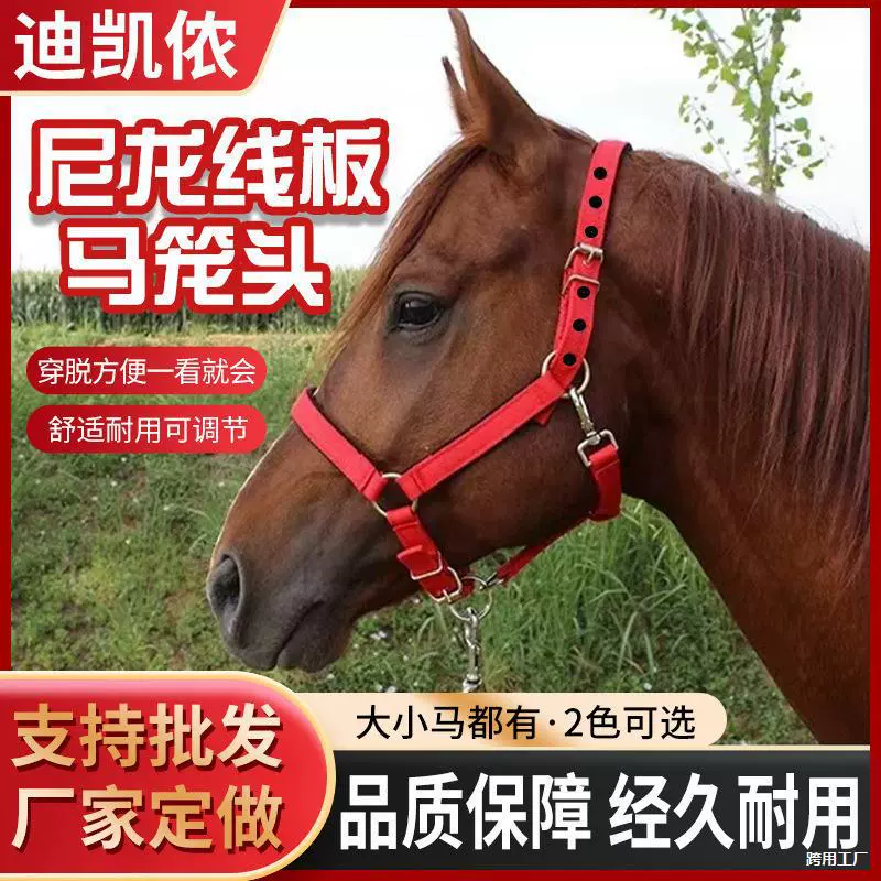 Комплект конской упряжи, конное снаряжение, поводок для лошади, сплав, упряжь для лошади, оборудование для привязывания лошади, бесплатная доставка