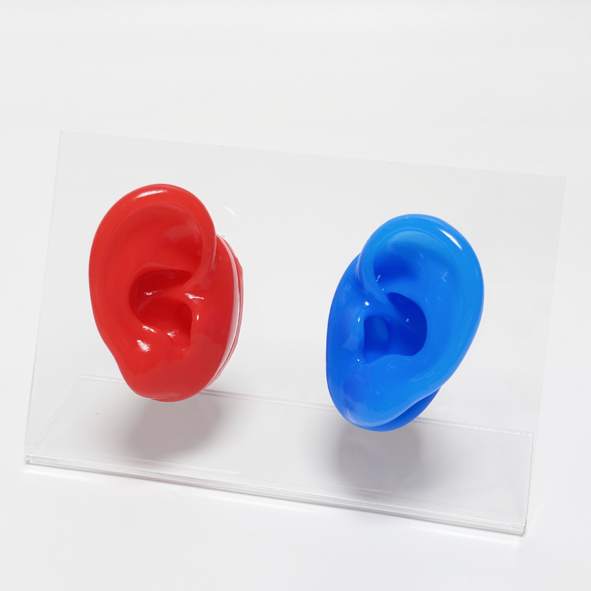 auriculares de silicona modelo de canal auditivo auricular auriculares audífonos auriculares perforación auriculares estante de exhibición joyas pendientes