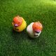New Cute Halloween Resin Ornaments Halloween Duck Micro Landscape Gardening Accessories Resin Crafts
