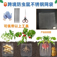 跨境304不锈钢金属网袋 防虫鼠保护植物根部滤网定制加厚编织网兜