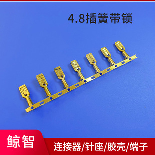 �S�����a 4.8��Ɏ��i ������ �Ӿ����� �B�@���� 4.8����