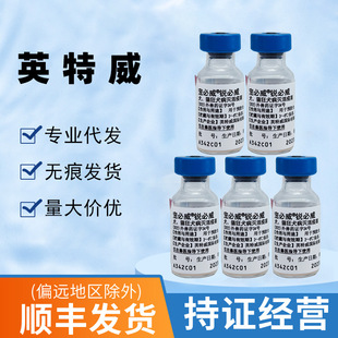 Ӣ������Ȯ����؈�乷���A������������⿵�J����