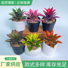 仿真多肉盆栽办公室桌面绿植网红热款室内装饰多肉盆栽组合定制
