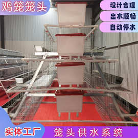 蛋鸡笼肉鸡笼笼头供水系统水箱支架阀门开关鸡笼配件三通弯头堵头