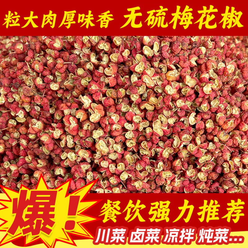 严选四川汉源红花椒批发500克 韩城大红袍花椒去籽干净打粉香麻好